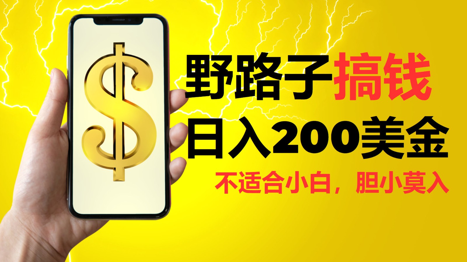 挂机野路子搞钱,日入200美金,路子很野,小白莫入-心语项目网