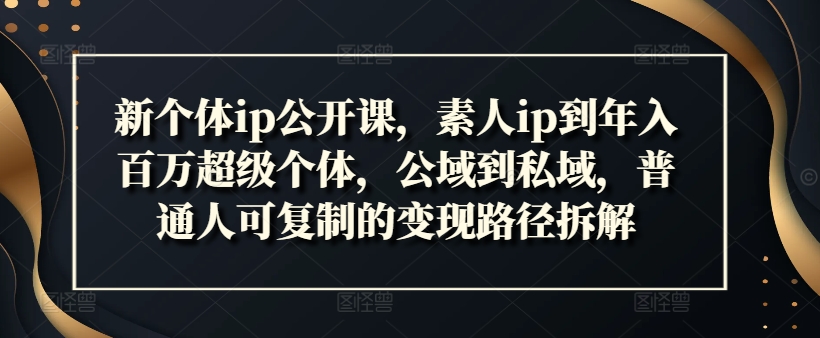 新个体ip公开课，素人ip到年入百万超级个体，公域到私域，普通人可复制的变现路径拆解-心语项目网