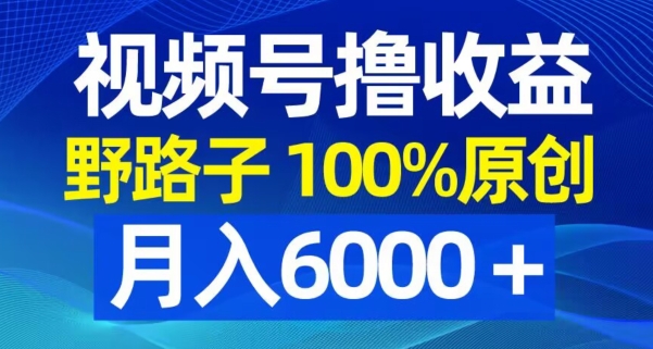 视频号野路子撸收益，100%原创，条条爆款，月入6000＋【揭秘】-心语项目网