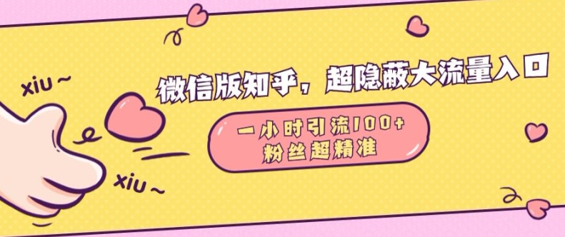微信版知乎，超隐蔽流量入口1小时引流100人，粉丝质量超高【揭秘】-心语项目网