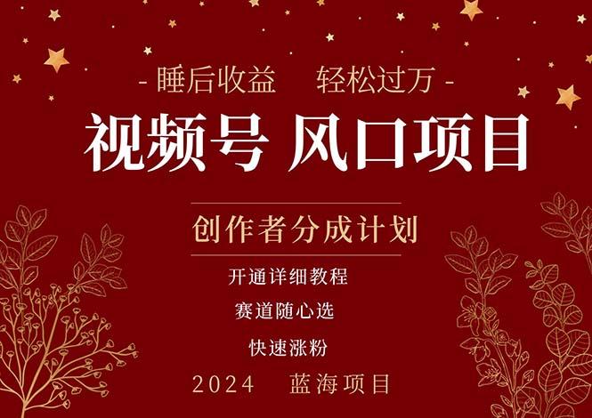 拥有睡眠收益的微信视频号大风口项目，轻松月入过万+，多赛道选择，可…-心语项目网