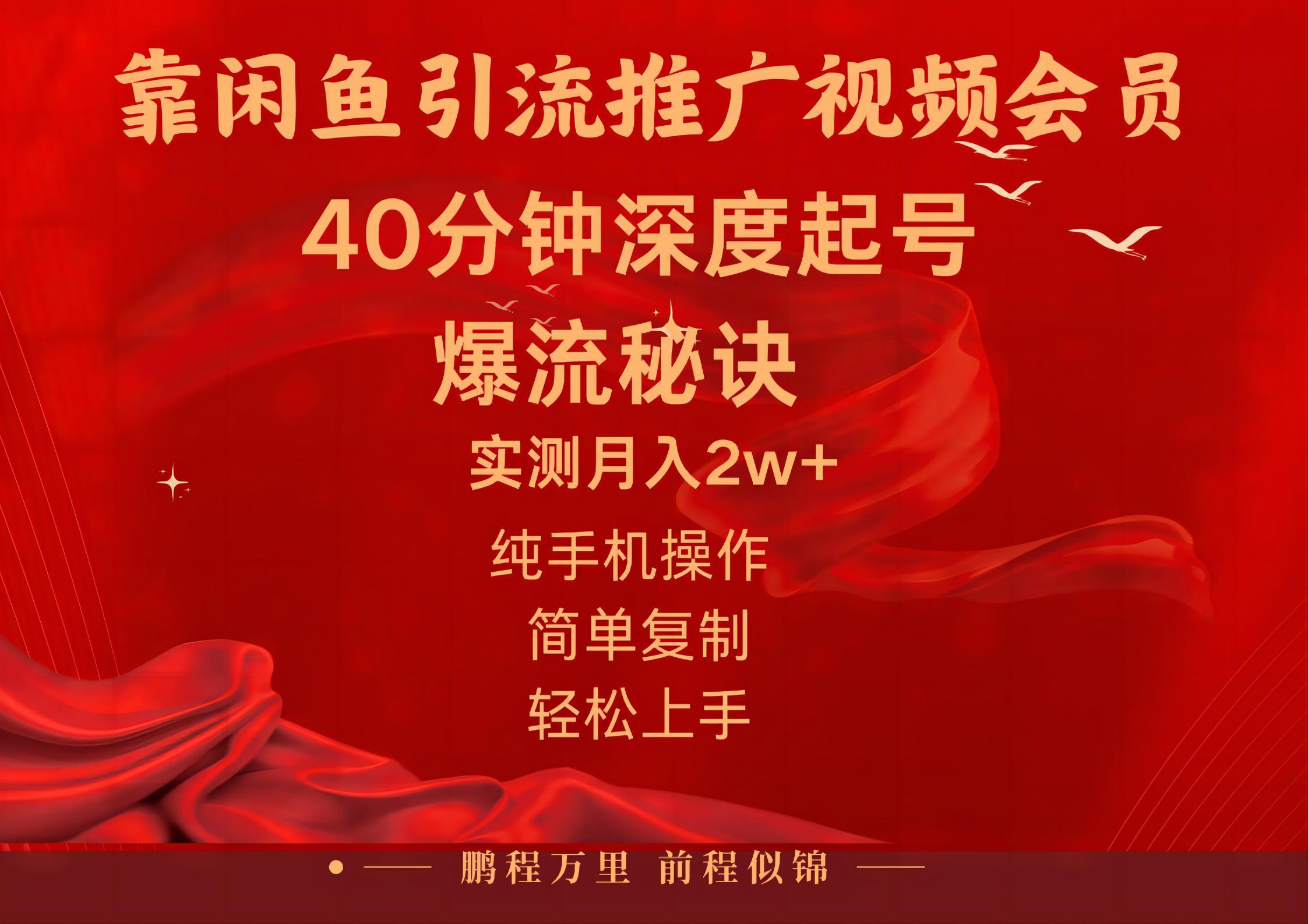 闲鱼暴力引流推广视频会员，能做到日入2W+，操作简单-心语项目网