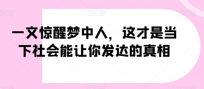 一文惊醒梦中人，这才是当下社会能让你发达的真相【公众号付费文章】-心语项目网