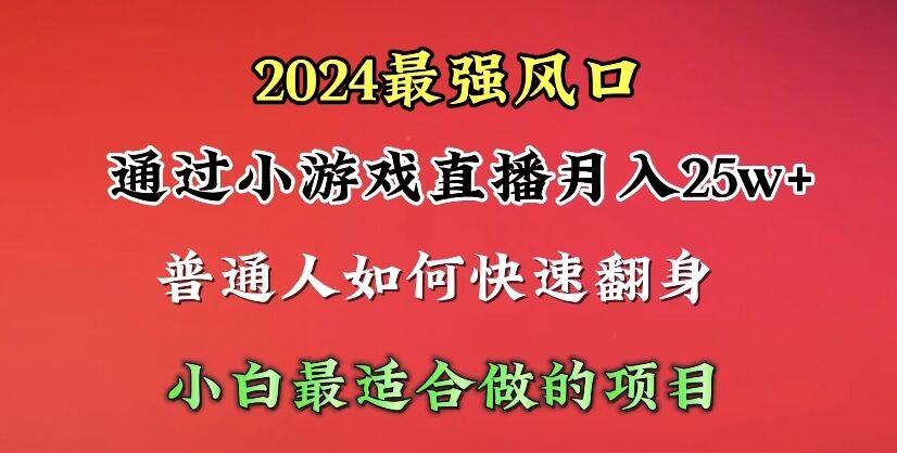 (10020期)2024年最强风口，通过小游戏直播月入25w+单日收益5000+小白最适合做的项目-心语项目网