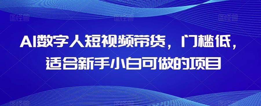 AI数字人短视频带货，门槛低，适合新手小白可做的项目-心语项目网