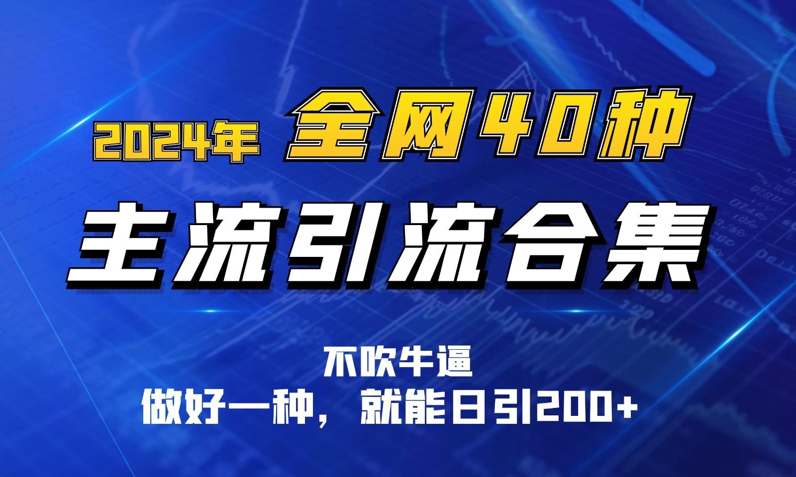2024年全网40种暴力引流合计，做好一样就能日引100+-心语项目网