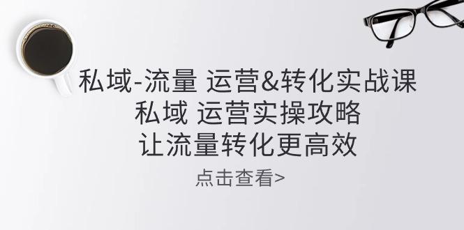 私域-流量 运营&转化实操课：私域 运营实操攻略 让流量转化更高效-心语项目网