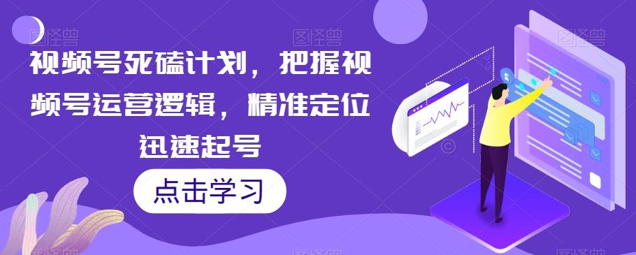 视频号死磕计划，把握视频号运营逻辑，精准定位迅速起号-心语项目网