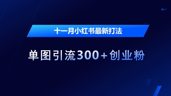 十一月小红书最新打法，单图引流300+创业粉【揭秘】-心语项目网