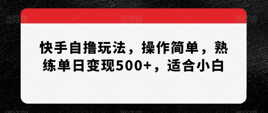 快手自撸玩法，操作简单，熟练单日变现500+，适合小白【揭秘】-心语项目网