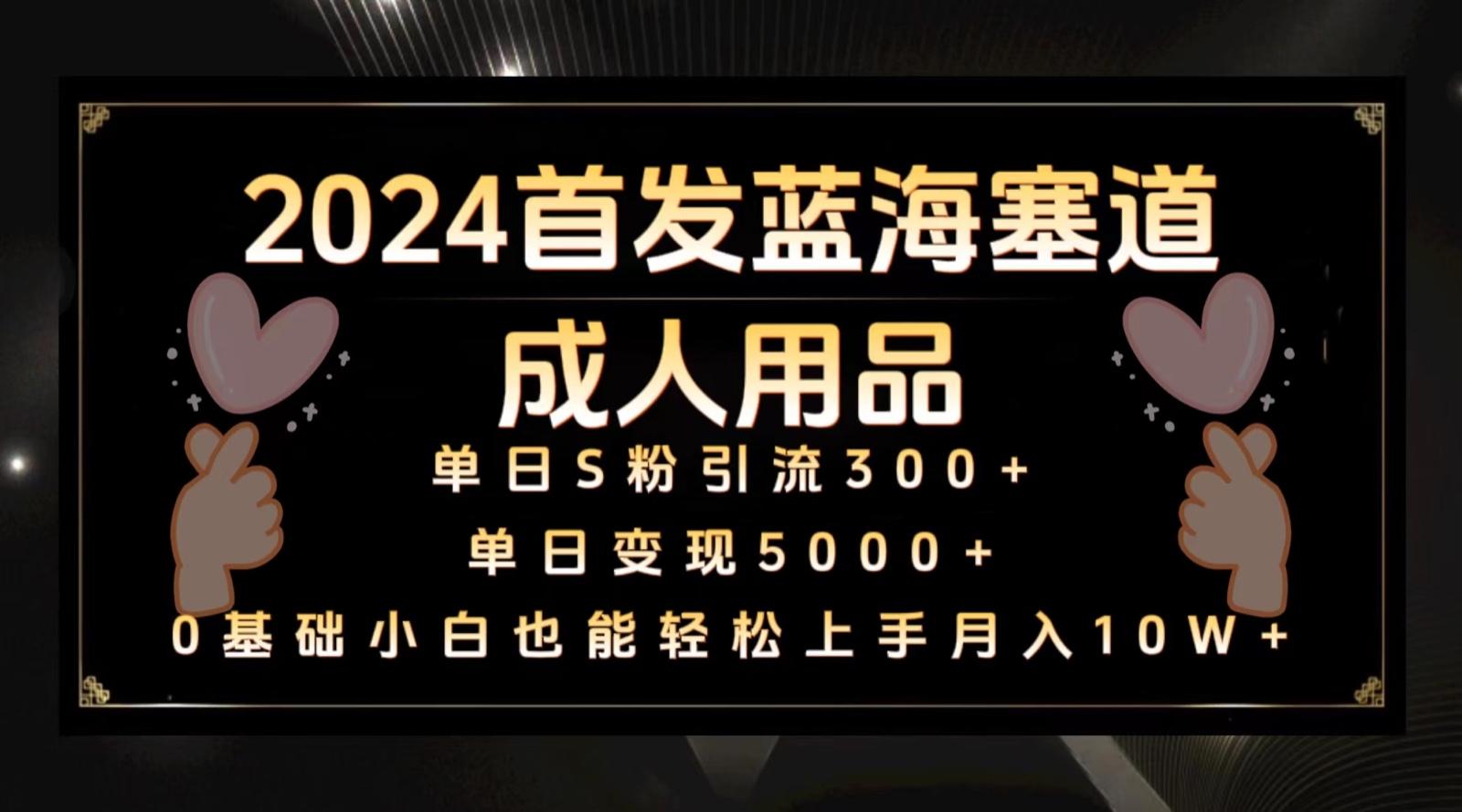 2024首发蓝海塞道成人用品,月入10W+保姆教程-心语项目网
