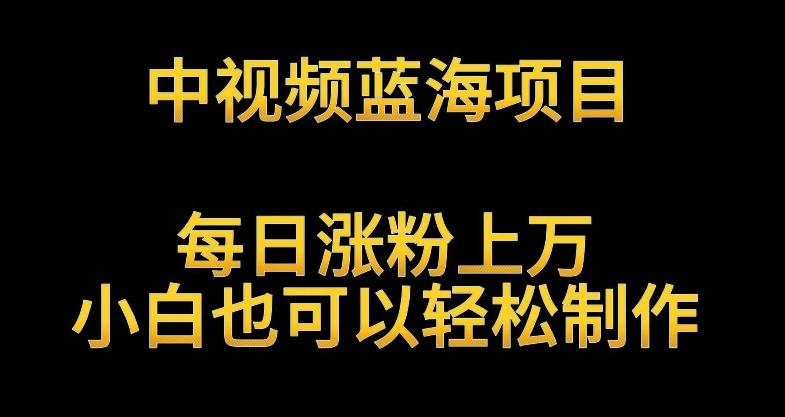 中视频蓝海项目，解读英雄人物生平，每日涨粉上万，小白也可以轻松制作，月入过万不是梦【揭秘】-心语项目网
