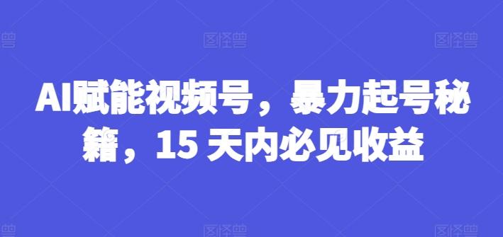 AI赋能视频号，暴力起号秘籍，15 天内必见收益【揭秘】-心语项目网