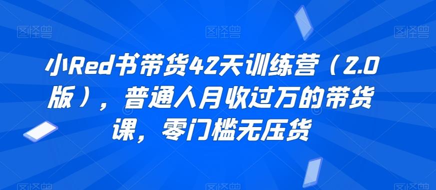 小Red书带货42天训练营(2.0版)，普通人月收过万的带货课，零门槛无压货-心语项目网