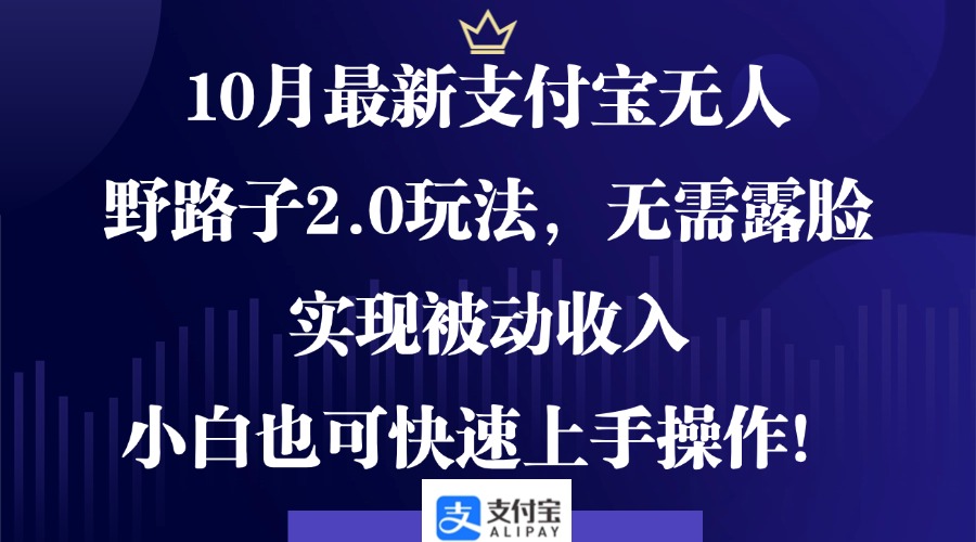 10月最新支付宝无人野路子2.0玩法，无需露脸，实现被动收入，小白也可...-心语项目网