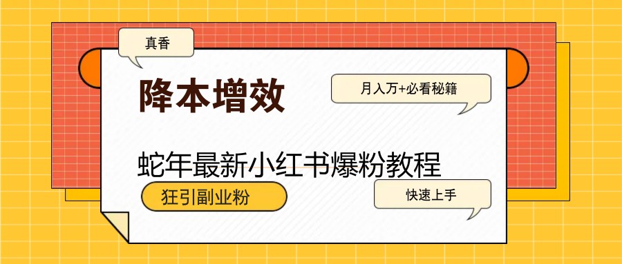 蛇年最新小红书爆粉教程，狂引副业粉，月入万+必看-心语项目网