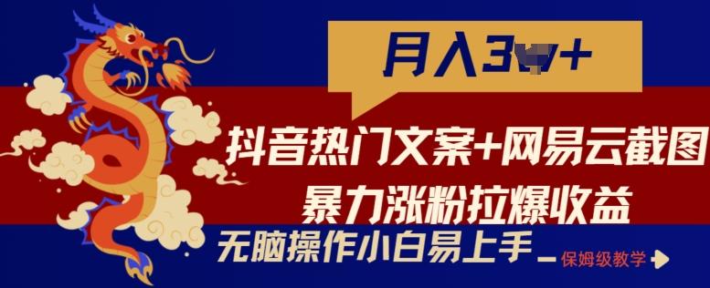 抖音热门文案+网易云截图暴力涨粉拉爆收益玩法，小白无脑操作，简单易上手【揭秘】-心语项目网