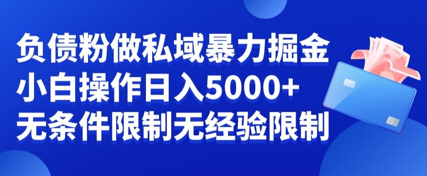 负债粉私域暴力掘金，小白操作入5000，无经验限制，无条件限制【揭秘】-心语项目网