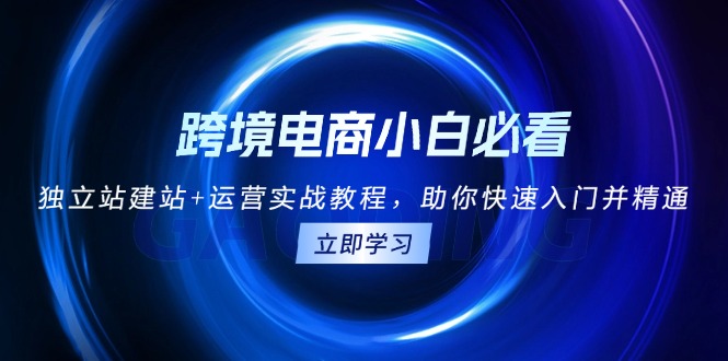 跨境电商小白必看！独立站建站+运营实战教程，助你快速入门并精通-心语项目网