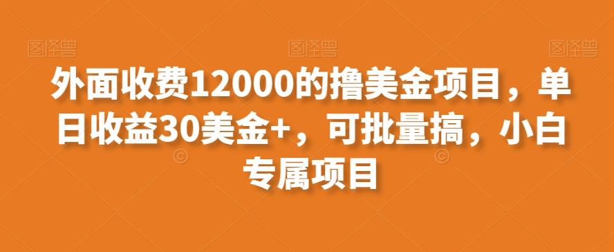 外面收费12000的撸美金项目，单日收益30美金+，可批量搞，小白专属项目-心语项目网