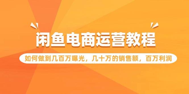 (9560期)闲鱼电商运营教程：如何做到几百万曝光，几十万的销售额，百万利润-心语项目网