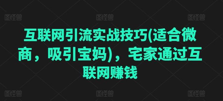 互联网引流实战技巧(适合微商，吸引宝妈)，宅家通过互联网赚钱-心语项目网