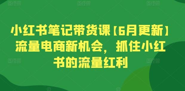 小红书笔记带货课【6月更新】流量电商新机会，抓住小红书的流量红利-心语项目网