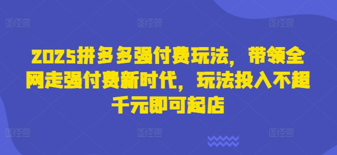 2025拼多多强付费玩法，带领全网走强付费新时代，玩法投入不超千元即可起店-心语项目网