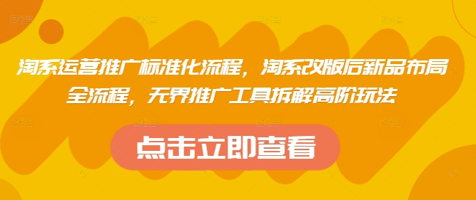 淘系运营推广标准化流程，​淘系改版后新品布局全流程，无界推广工具拆解高阶玩法-心语项目网