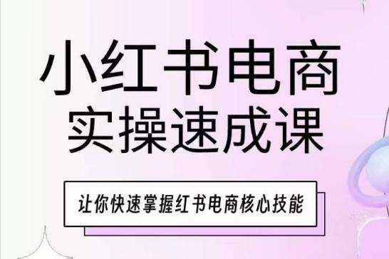小红书电商实操速成课，让你快速掌握红书电商核心技能-心语项目网
