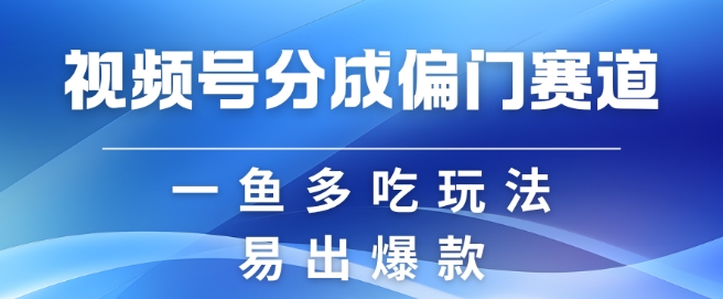 视频号创作者分成计划偏门类目，容易爆流，实拍内容简单易做【揭秘】-心语项目网