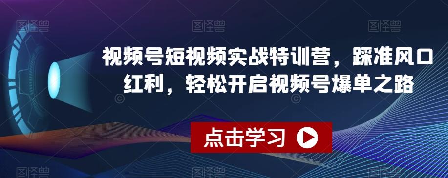 视频号短视频实战特训营，踩准风口红利，轻松开启视频号爆单之路-心语项目网