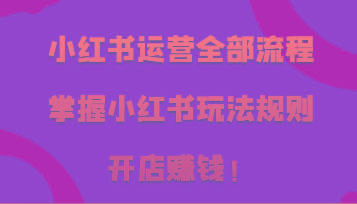 小红书运营全部流程，掌握小红书玩法规则，开店赚钱！-心语项目网