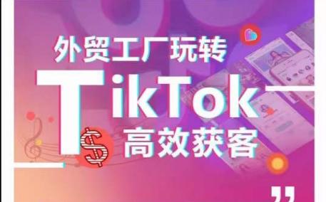 外贸工厂玩转TikTok高效获客，多种引流方式与账号定位技巧，拆解爆款短视频打造成功案例-心语项目网