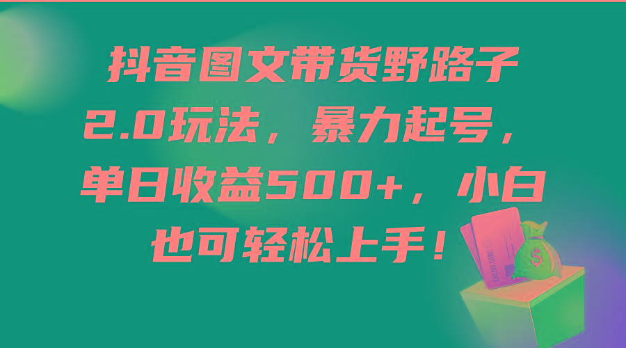 (9790期)抖音图文带货野路子2.0玩法，暴力起号，单日收益500+，小白也可轻松上手！-心语项目网
