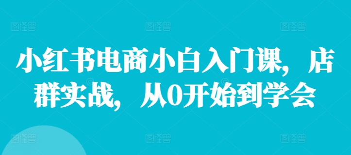 小红书电商小白入门课，店群实战，从0开始到学会-心语项目网