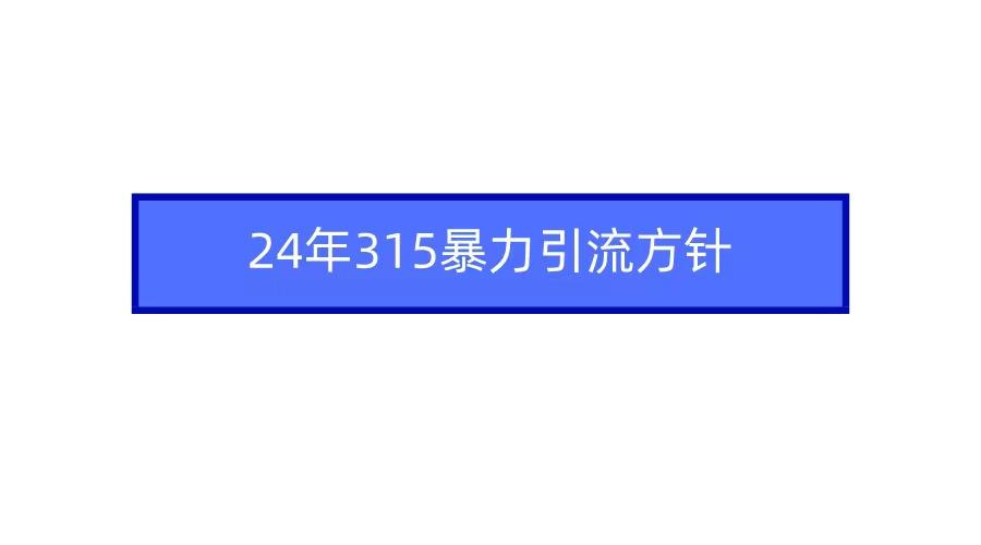 (9398期)2024年315暴力引流方针-心语项目网