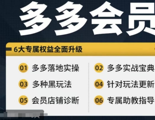 拼多多会员，拼多多实战宝典+实战落地实操，从新手到高阶内容全面覆盖-心语项目网