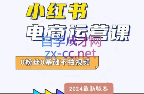 达哥·小红书电商运营(2024版)-心语项目网