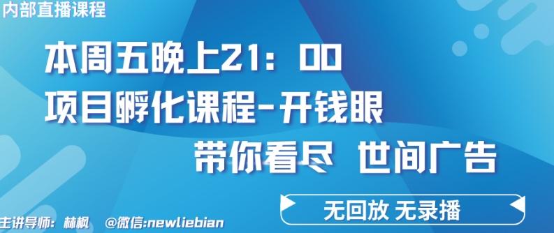 4.26日内部回放课程《项目孵化-开钱眼》赚钱的底层逻辑【揭秘】-心语项目网