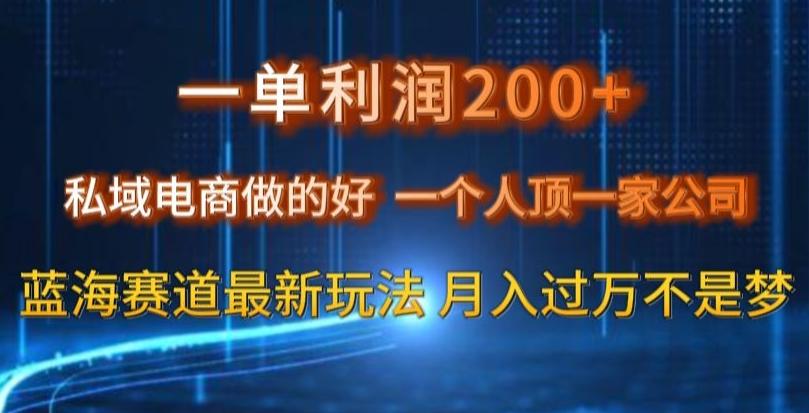 一单利润200私域电商做的好，一个人顶一家公司蓝海赛道最新玩法【揭秘】-心语项目网