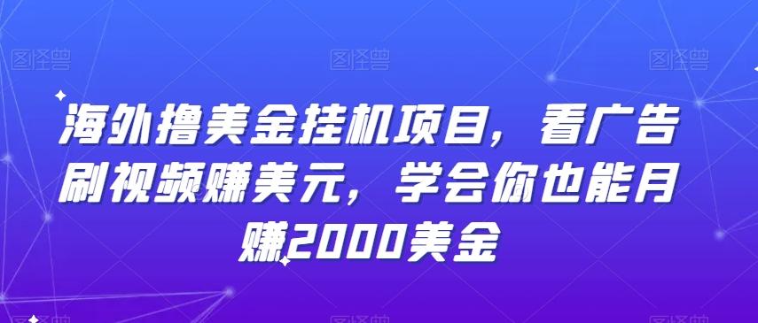 海外撸美金挂机项目，看广告刷视频赚美元，学会你也能月赚2000美金-心语项目网