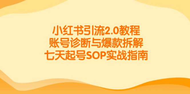 小红书引流2.0教程，账号诊断与爆款拆解，七天起号SOP实战指南-心语项目网