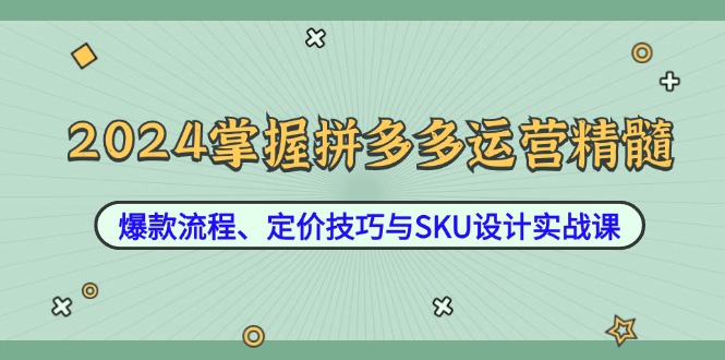 2024掌握拼多多运营精髓：爆款流程、定价技巧与SKU设计实战课-心语项目网