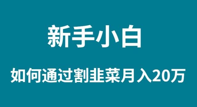 (9308期)新手小白如何通过割韭菜月入 20W-心语项目网