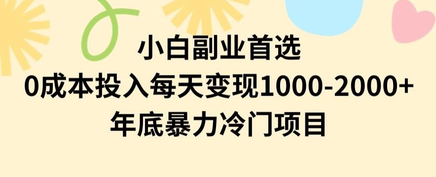 小白副业首选，0成本投入，每天变现1000-2000年底暴力冷门项目【揭秘】-心语项目网