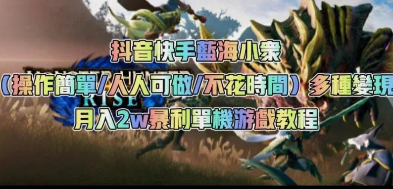 抖音快手蓝海小众（操作简单人人可做不花时间）多种变现月入2w＋暴利单机游戏教程-心语项目网