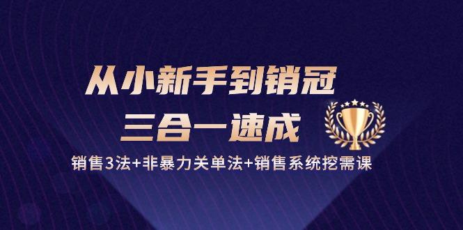 从小新手到销冠 三合一速成：销售3法+非暴力关单法+销售系统挖需课 (27节-心语项目网
