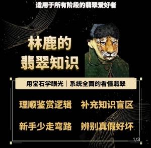 林鹿的翡翠知识，​用宝石眼光，系统全面的看懂翡翠-心语项目网