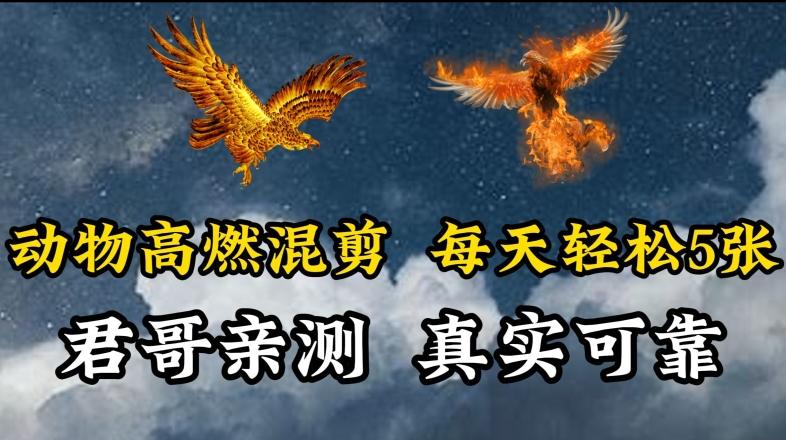 动物超燃混剪，每天轻松5张，剪辑简单大家爱看【揭秘】-心语项目网
